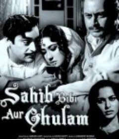 国王，王后与奴隶 Sahib Bibi Aur Ghulam            (1962)