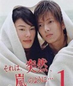 像暴风雨般的恋爱 それは、突然、嵐のように…            (2004)