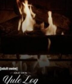 圣诞炉火 The Fireplace            (2022)