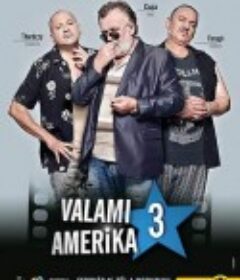 美国范儿3 Valami Amerika 3            (2018)
