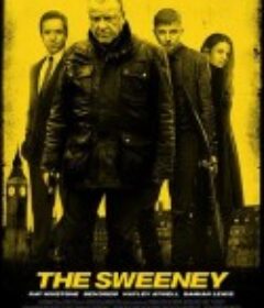 除暴安良 The Sweeney            (2012)