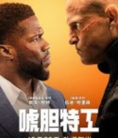 唬胆特工 The Man from Toronto            (2022)
