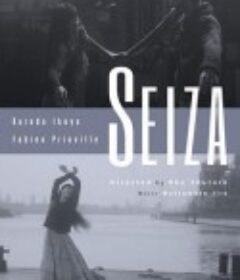 星座            (2013)