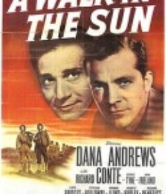 白昼进攻 A Walk in the Sun            (1945)