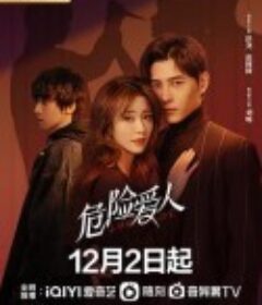 危险爱人            (2022)