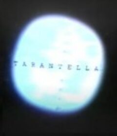 塔兰台拉 Tarantella            (1989)