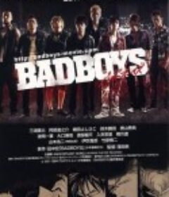 搞怪少年 BADBOYS            (2011)