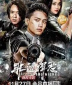 非道缉恶            (2022)