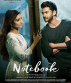笔记本 Notebook            (2019)