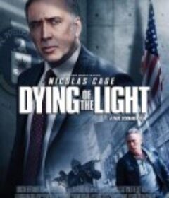 光逝 Dying of the Light            (2014)