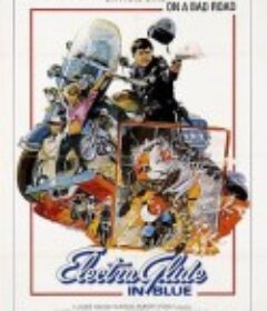 忧郁骑警 Electra Glide in Blue            (1973)