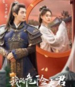 我的危险夫君            (2022)