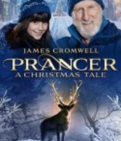 幻海童真：圣诞故事 Prancer            (2022)
