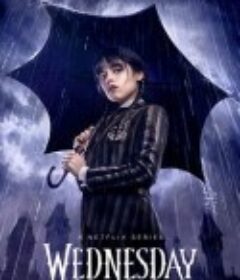 星期三 第一季 Wednesday Season 1            (2022)
