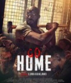 回家 - 在家里 Go Home - A casa loro            (2018)