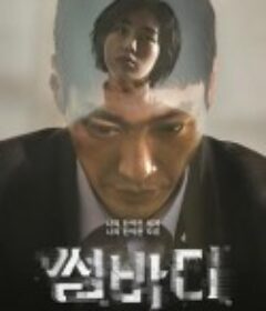 命定之人 썸바디            (2022)