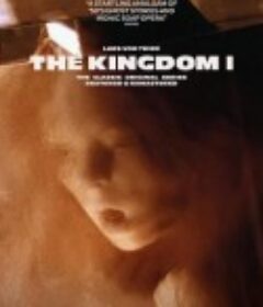 医院风云 第一季 Riget            (1994)