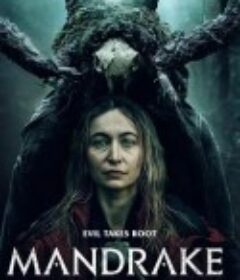曼德拉草 Mandrake            (2022)