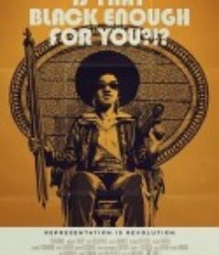 够黑了吗？ Is That Black Enough for You?!?            (2022)