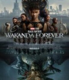 黑豹2 Black Panther: Wakanda Forever            (2022)