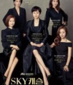 天空之城 SKY 캐슬            (2018)