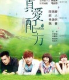 真爱配方 真愛配方            (2013)