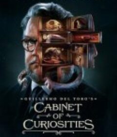 吉尔莫·德尔·托罗的奇思妙想 Guillermo del Toro's Cabinet of Curiosities            (2022)