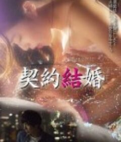 契约结婚 契約結婚            (2017)