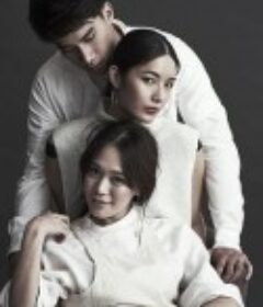 追梦建筑师 The Dreamer            (2016)