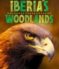 伊比利亚丛林 第一季 Iberia's Woodlands: Life on the Edge Season 1            (2021)