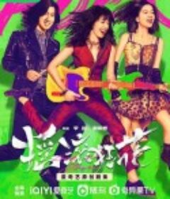 摇滚狂花            (2022)