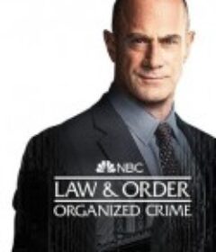 法律与秩序：组织犯罪 第三季 Law &amp; Order: Organized Crime Season 3            (2022)