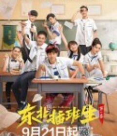 东北插班生            (2022)