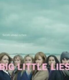 大小谎言 2季 Big Little Lies             (2017-2019)