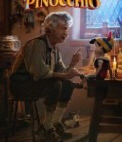 木偶奇遇记 Pinocchio            (2022)