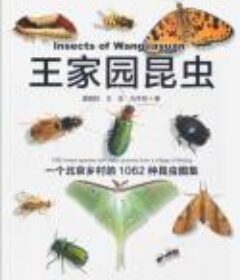 《王家园昆虫》北方的昆虫图鉴一本全[pdf]