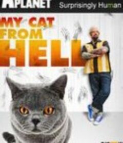 家有恶猫 第一季 My Cat from Hell Season 1            (2011)