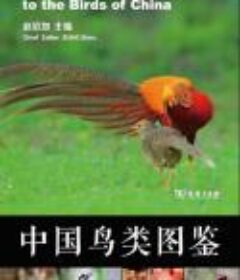 《中国鸟类图鉴》[pdf]