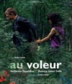 最真的时光 Au voleur            (2009)