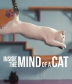 喵星人的奇思妙想 Inside the Mind of a Cat            (2022)