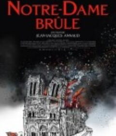 燃烧的巴黎圣母院 Notre-Dame brûle            (2022)