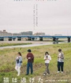 猫猫逃走了 猫は逃げた            (2022)