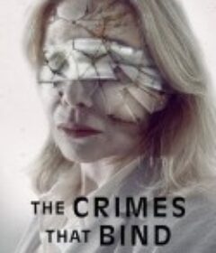 约束的罪行 Crímenes de familia            (2020)