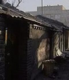 回到凤凰桥            (1997)