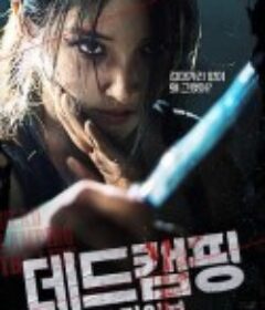 死亡露营现场 데드캠핑 더라이브            (2022)