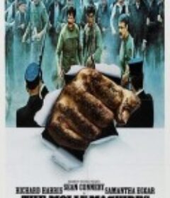 莫莉·马圭尔斯 The Molly Maguires            (1970)