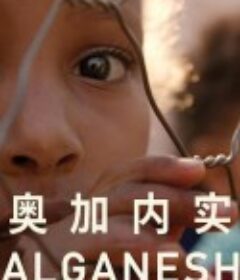 奥加内实 Alganesh            (2018)