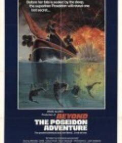 海神号历险记续集 Beyond the Poseidon Adventure            (1979)
