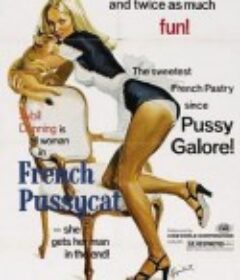 法国小野猫 Das Mädchen mit der heißen Masche            (1972)