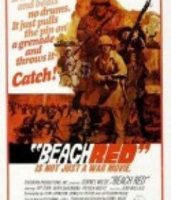 抢滩总攻击 Beach Red            (1967)